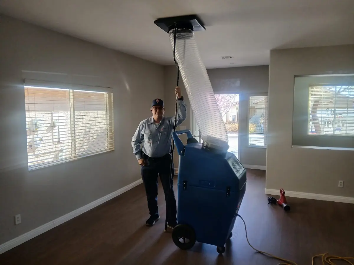 Professional Dryer Vent Cleaning work inside a Brownsville home